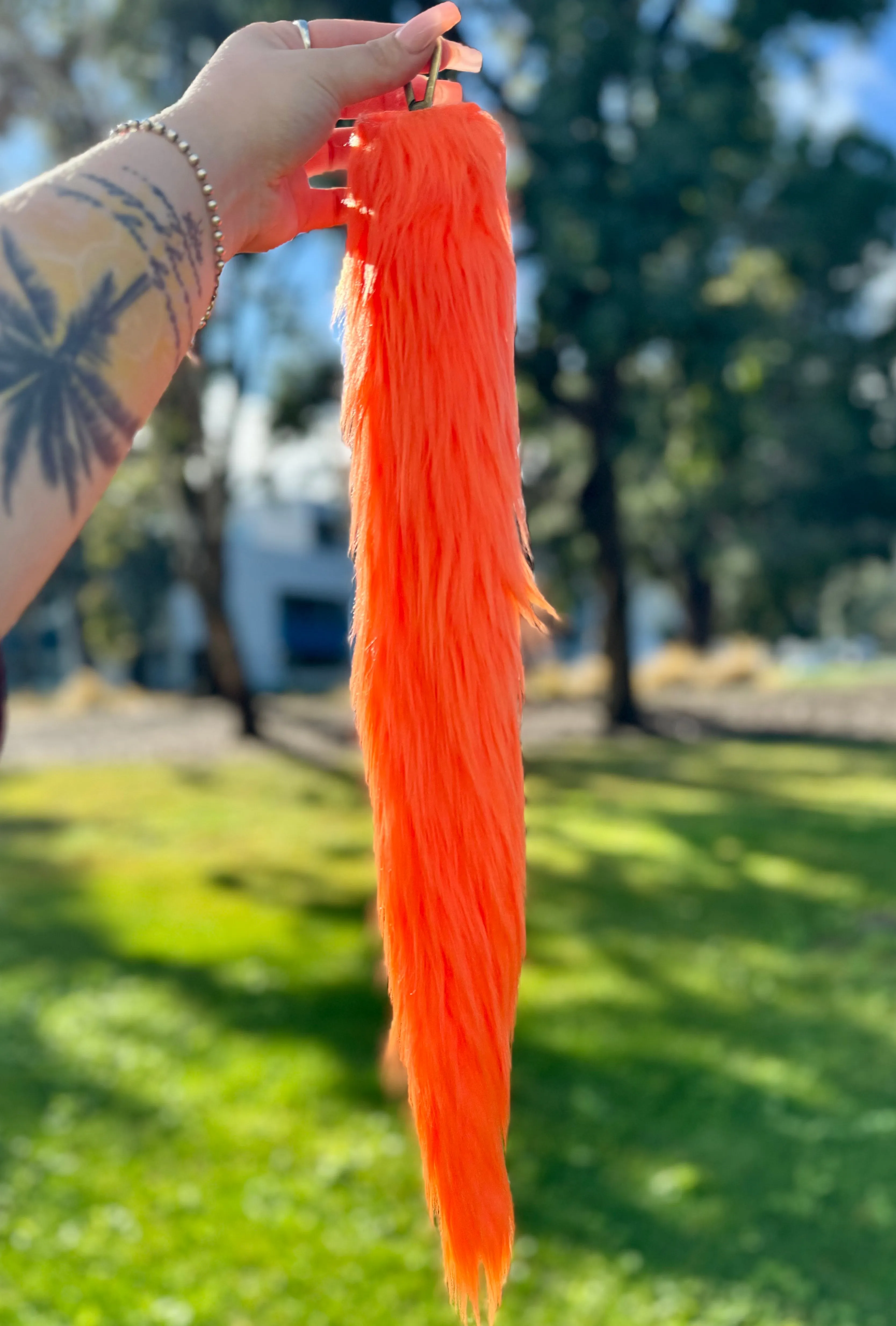 Orange Tail