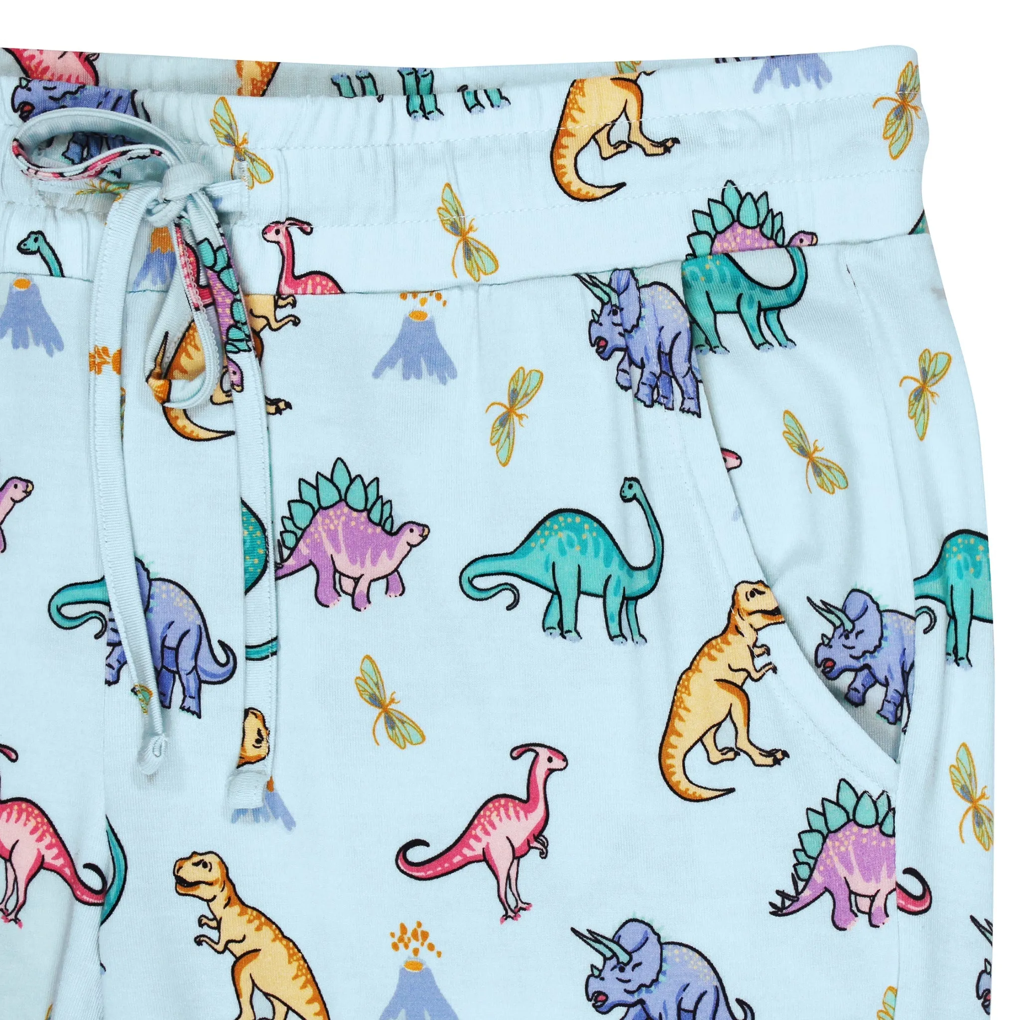 Rawr Your World Dinos & Dragonflies Women's Jogger Style PJ Pants